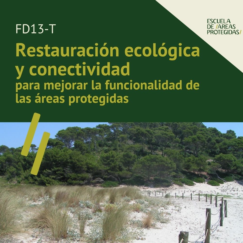 FD13-T | Restauración ecológica y conectividad en áreas protegidas